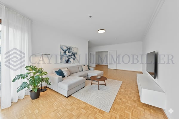 Magnifique 1 pièces à Plainpalais 3