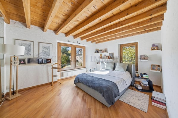 Proche de Bernex - Maison du XVIIIème siècle, superbement rénovée 12