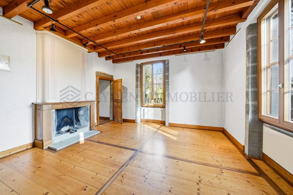 Belle bâtisse au charme de l'ancien, idéal investisseurs 1