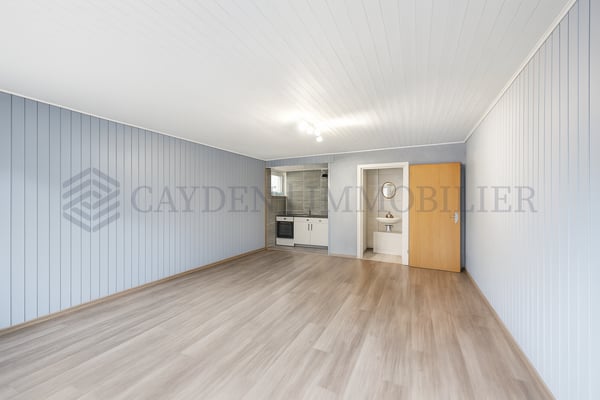 Villa avec vue lac panoramique à 10 minutes de Gland ! 12