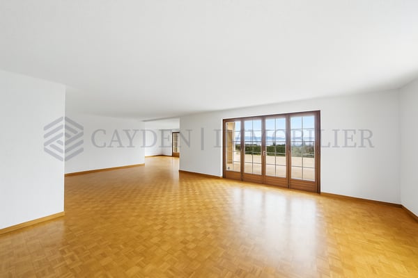 Villa avec vue lac panoramique à 10 minutes de Gland ! 8