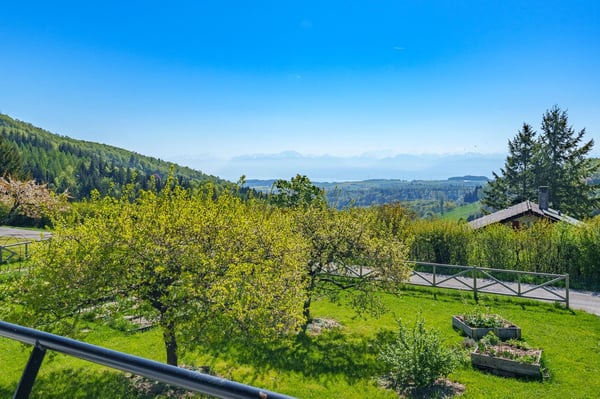 Belle villa avec vue lac - 15 minutes de Rolle 1