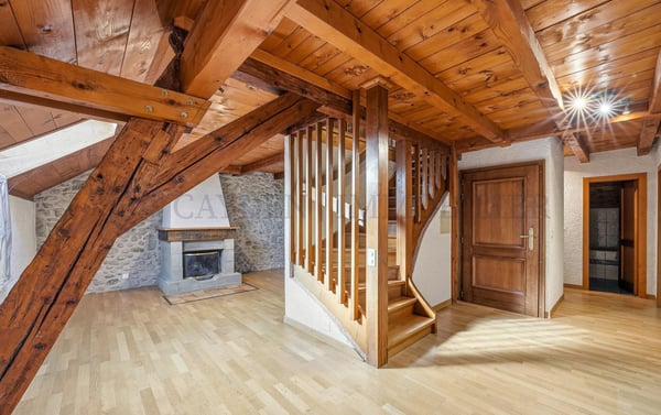 Belle bâtisse rénovée sur grand terrain ensoleillé 13