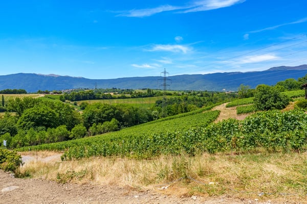 1 PIèces rez-de-jardin (Rez inférieur) - Lot 2.02 1