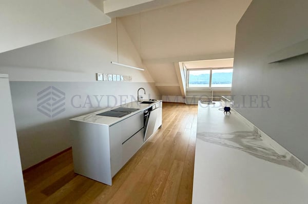 Sublime duplex rénové vue imprenable sur le lac Léman 3