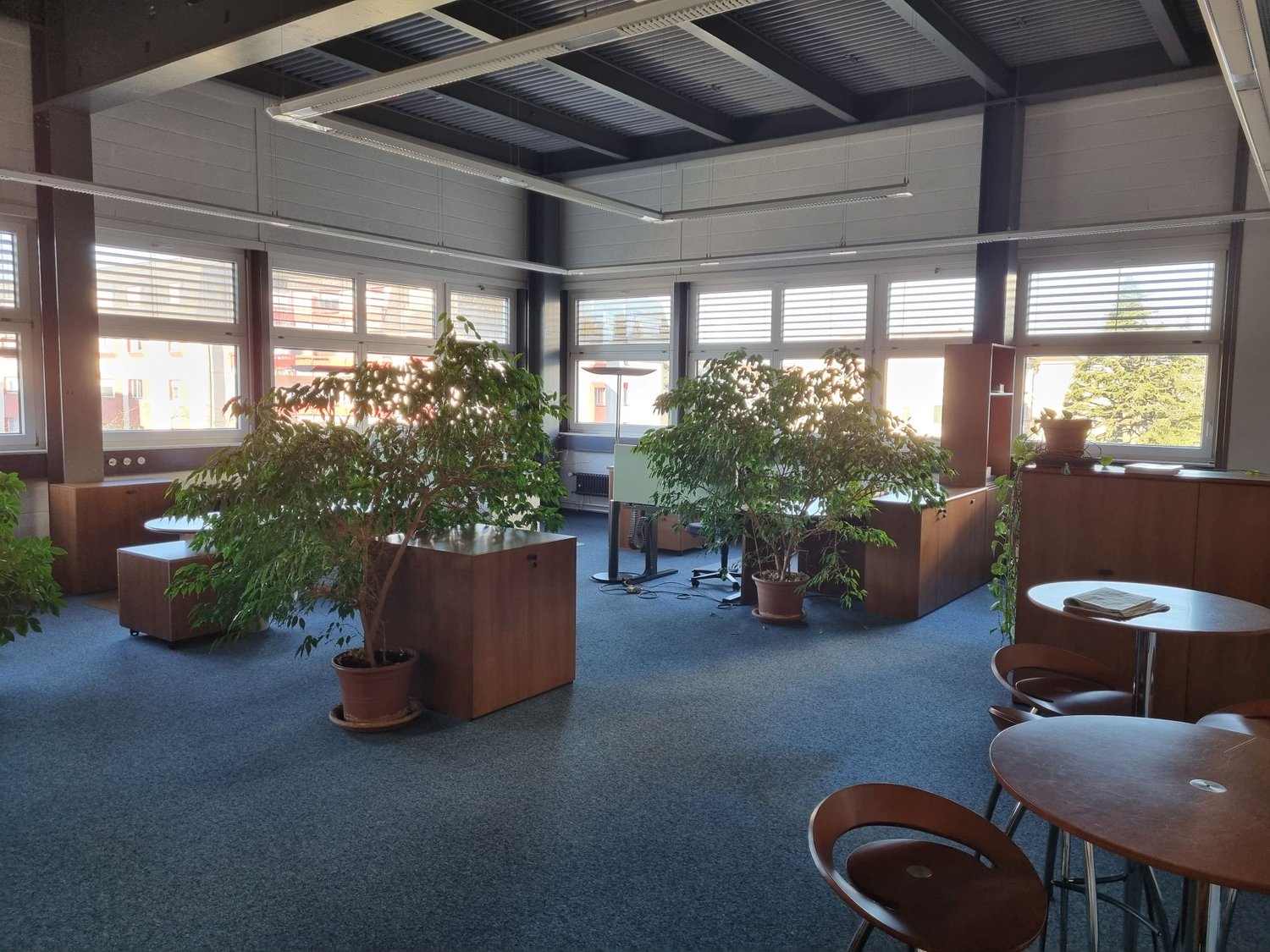 Office space with large windows, carpeted floor, wooden desks, chairs, and potted plants.