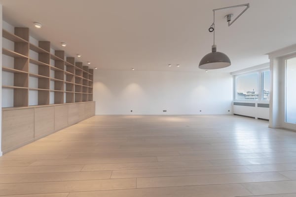 Attique de 182m2 PPE + 130m2 de terrasse avec vue lac 2