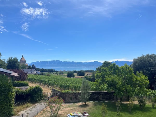 Vufflens-le-Château (9 minutes de Morges) : à louer magnifique appartement récent de 4,5 pièces