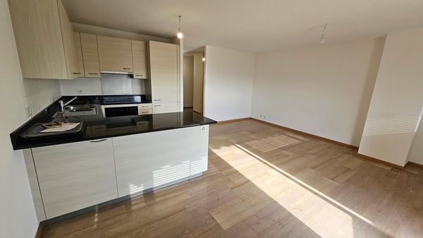 Echandens : proche de toutes commodités, à louer charmant appartement de 4 pièces 5