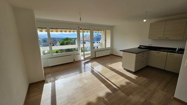 Echandens : proche de toutes commodités, à louer charmant appartement de 4 pièces 1