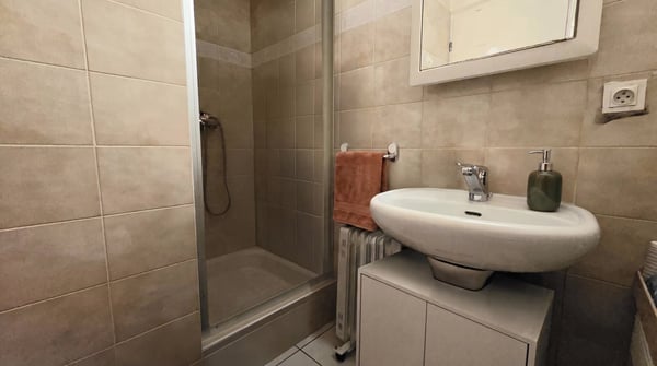 Thonon-les-Bains Morcy : T2 lumineux avec terrasse 8