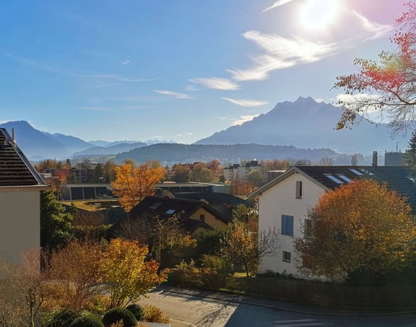 Attraktive Gartenwohnung an der Rosengartenhalde 11a in Luzern 2