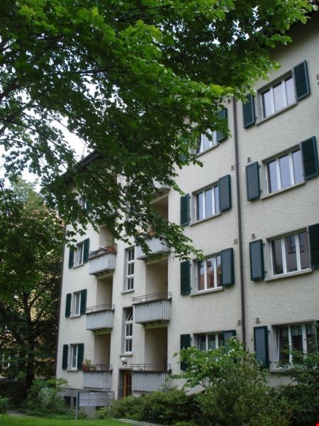 Grosse Wohnküche - zwei Balkone! 8