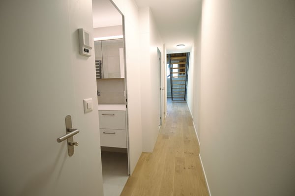 Aussergewöhnliche Maisonette-Dachwohnung 18