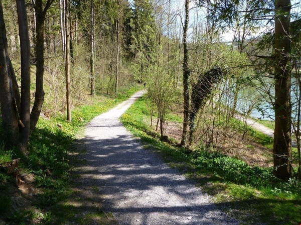 Bremgarten - Ländliquartier 10