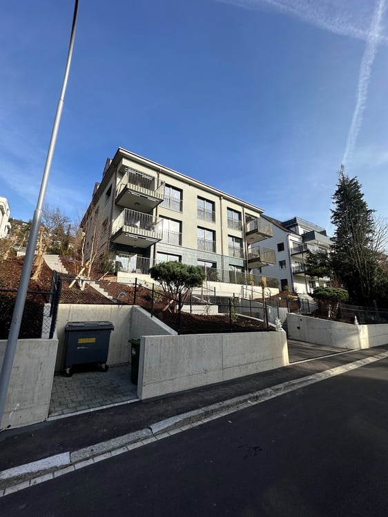 Stilvoller Rückzugsort mit Aussicht über Zürich-Höngg 3