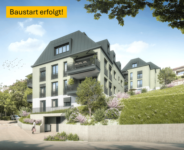Hoch über der Limmat  Exklusive Eigentumswohnungen im TOBELEGG 1