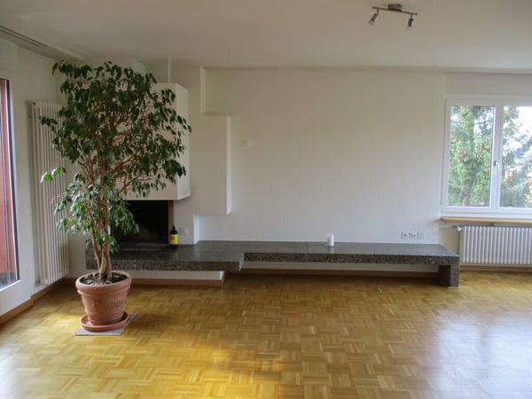6-Zimmerwohnung mit Cheminee und grosser Terrasse 3