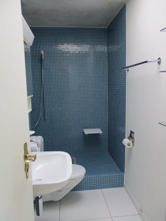 6-Zimmerwohnung mit Cheminee und grosser Terrasse 2
