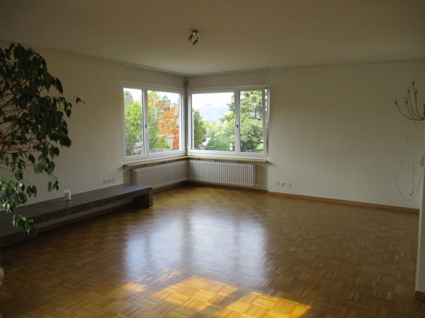 6-Zimmerwohnung mit Cheminee und grosser Terrasse 4