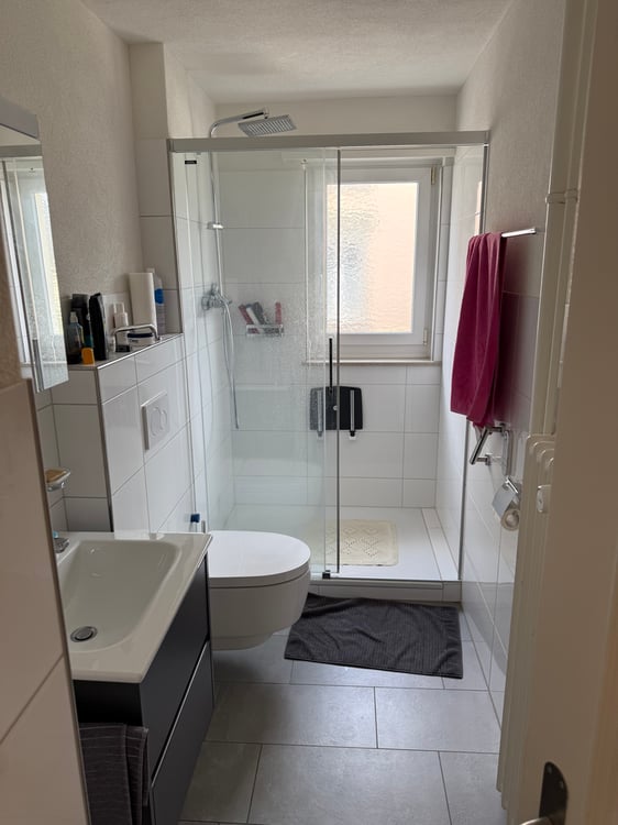 Sanierte Wohnung im Inneren Lind 7