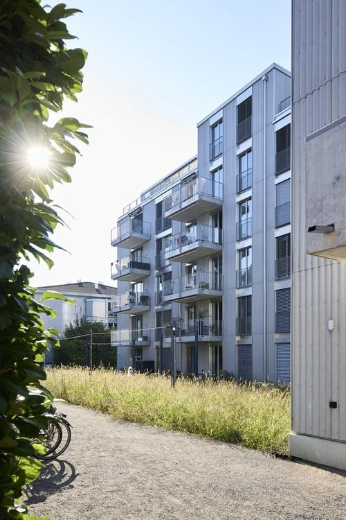 1.5-Zimmerwohnung in Neubau 1