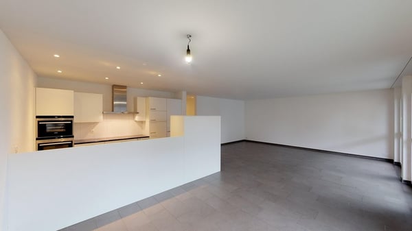 4.5 Zimmerwohnung an der Grenze zu Zürich 3