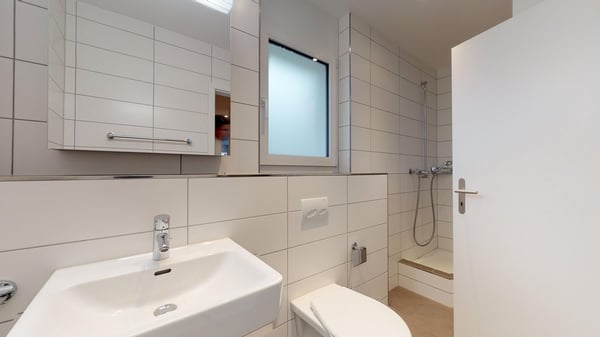 4.5 Zimmerwohnung an der Grenze zu Zürich 7