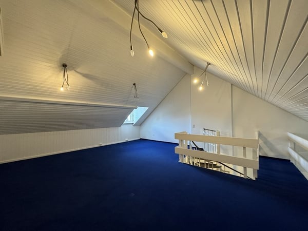 Grosse Wohnung auf zwei Etagen mit Galerie im Aarauer Zentrum 8