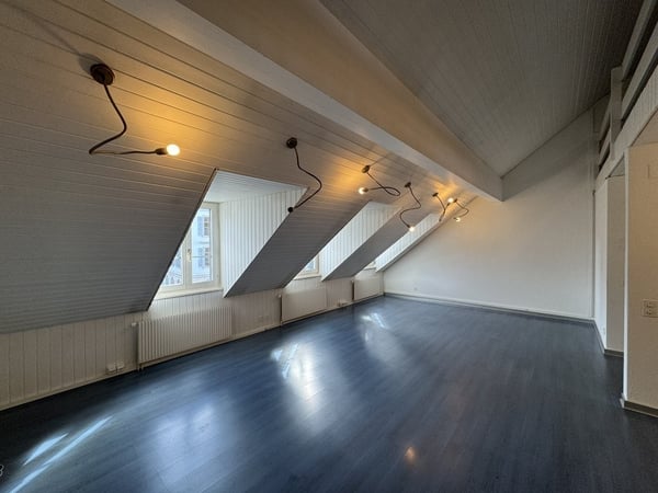 Grosse Wohnung auf zwei Etagen mit Galerie im Aarauer Zentrum 5