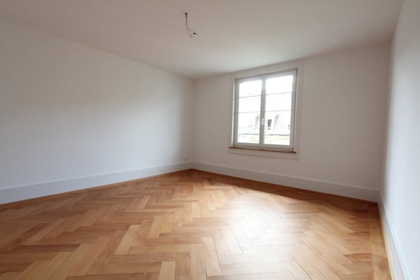 Schöne grosse Wohnung im Mattenhofquartier 3