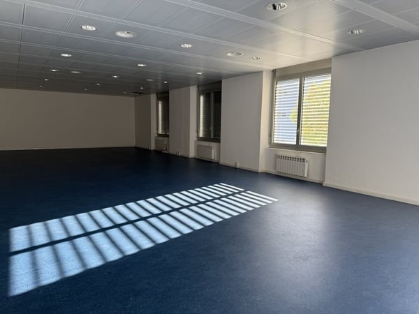 Affittasi superfici commerciali / depositi a Giubiasco 2