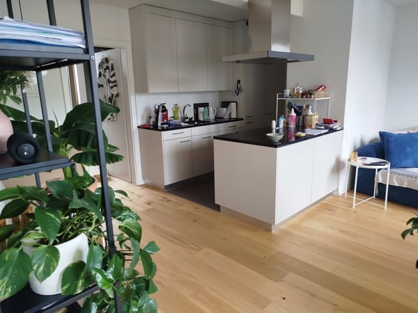 2 ½ Zimmer-Wohnung, 3400 Burgdorf 5