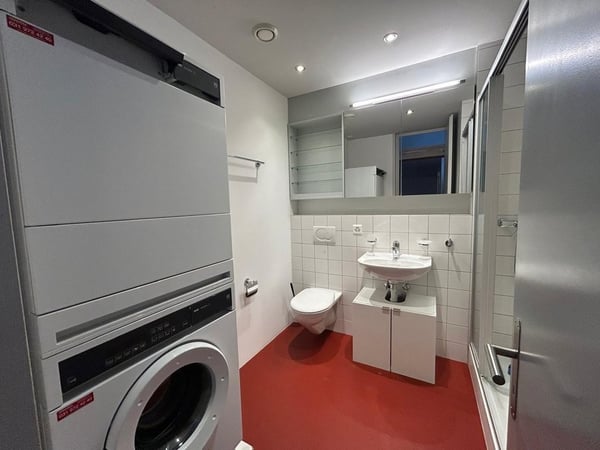 1.5-Zimmer Loftwohnung/Atelier 9