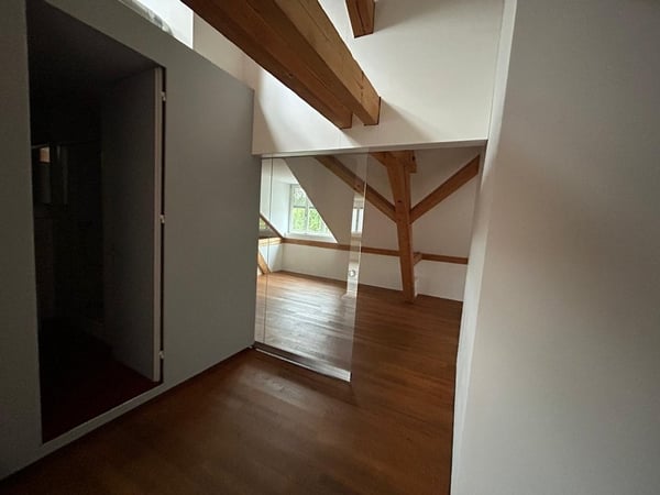 1.5-Zimmer Loftwohnung/Atelier 6