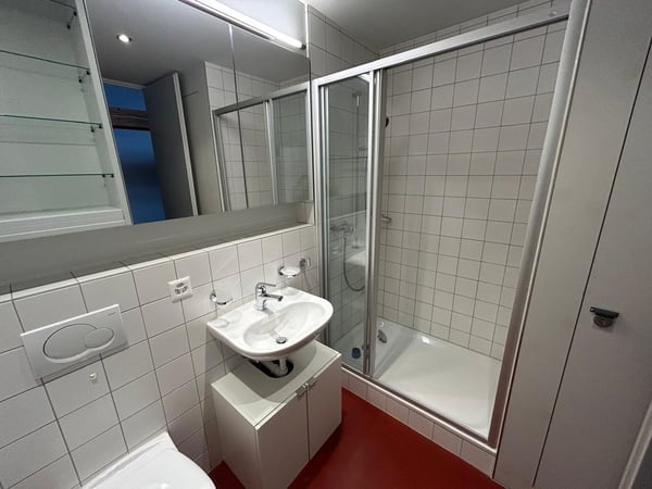1.5-Zimmer Loftwohnung/Atelier 10