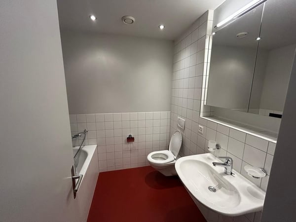 1.5-Zimmer Loftwohnung/Atelier 8