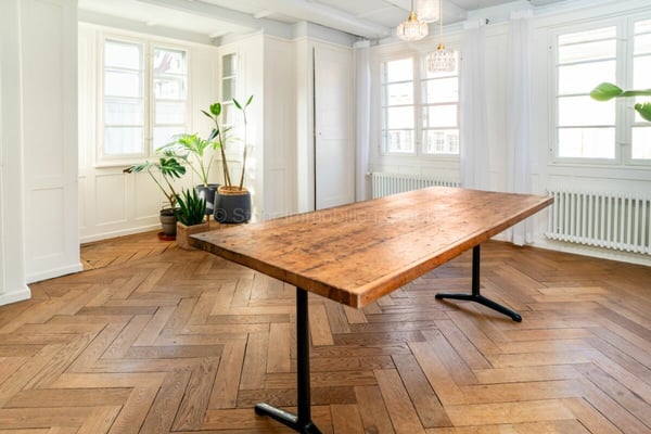 Historisches Ein - oder Zweifamilienhaus im Herzen von Diessenhofen 11