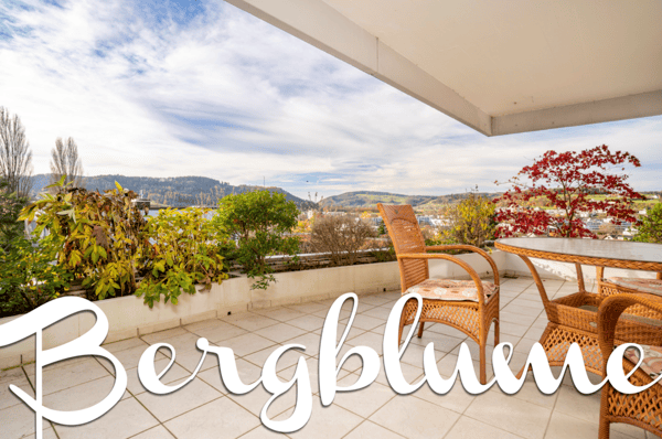 Vorschaubild der Immobilie