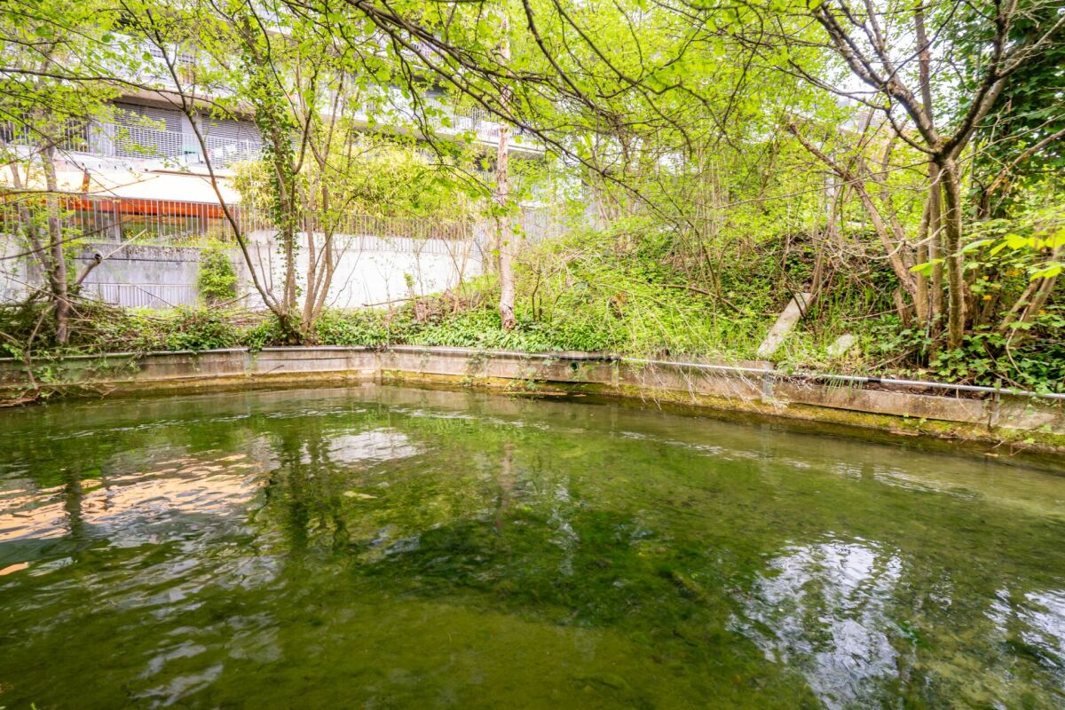 Gepflegte 2.5 Zimmer Wohnung mit grosszügigem Garten