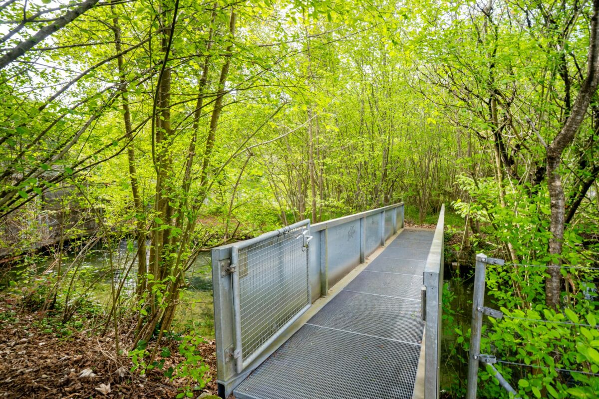 Gepflegte 2.5 Zimmer Wohnung mit grosszügigem Garten