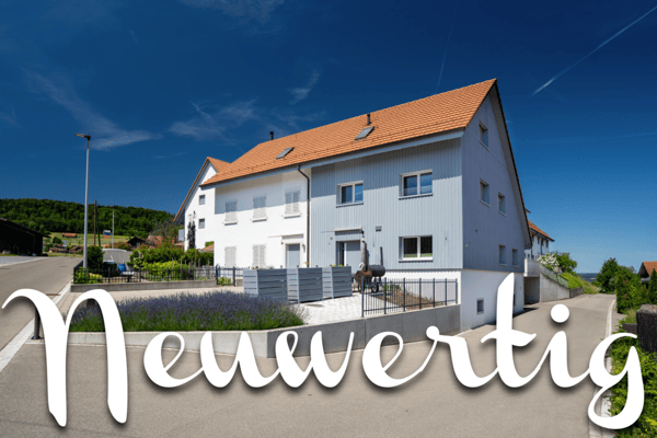 Familienfreundliches 4.5-Zimmer-DEFH in gepflegter Überbauung 1
