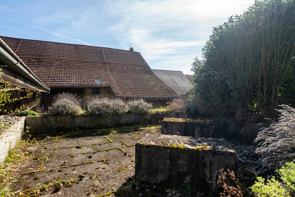 Bauland in Brütten mit historischem Bauernhaus und Entwicklungspotenzial 26