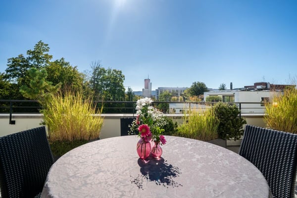 Urbane 4.5 Zimmer Attika-Wohnung mit 169 m² Terrassenfläche 3