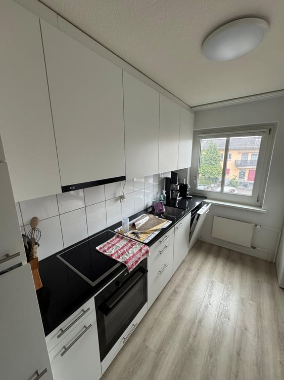 Grün, grüner, Schwamendingen 1