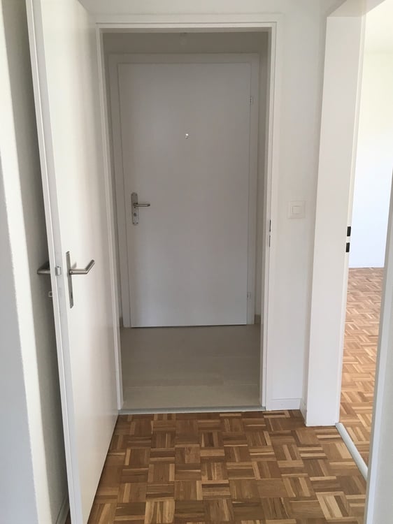 3 Zimmer-Wohnung in Schlieren mieten 4