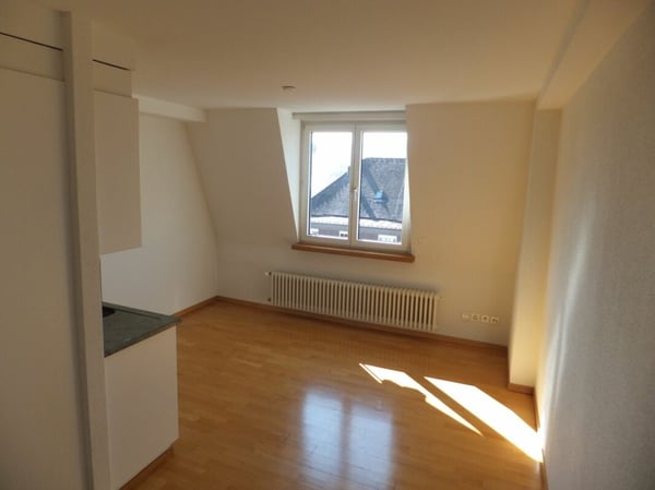 Über den Dächern vom Zürcher Seefeld - 2. Zimmerwohung am Zürichsee 3