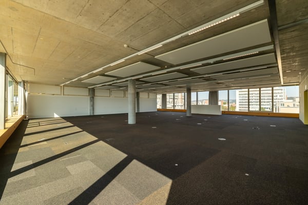 Büroflächen ab 2'000 m² direkt am Rhein 7