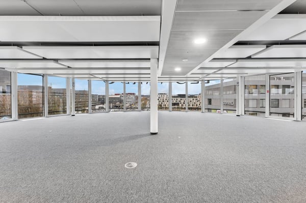 Büroflächen ab 1'000 m² - Wo Business zum Erlebnis wird 5