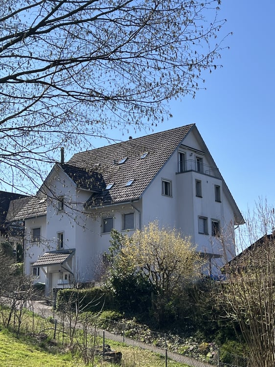 Charmante 3.5-Zimmer-Duplex-Wohnung in Oetwil an der Limmat 1
